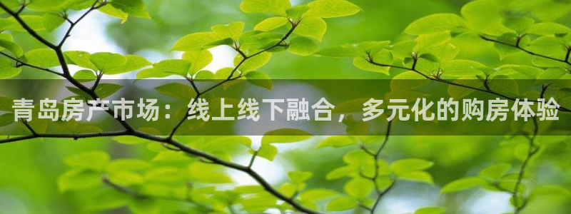 新宝5登录入口网址：青岛房产市场：线上线下融合，多元化的购房