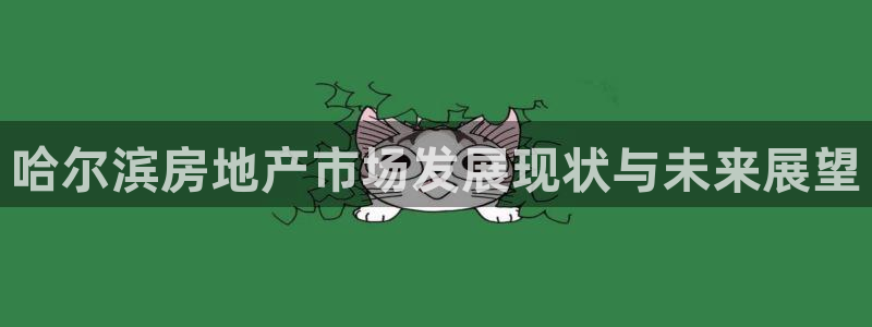 新宝5挂机软件：哈尔滨房地产市场发展现状与未来展望