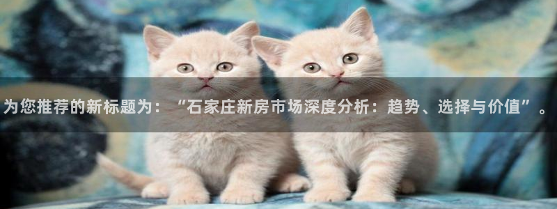 新宝5找找74OOO5：为您推荐的新标题为：“石家庄新房市场