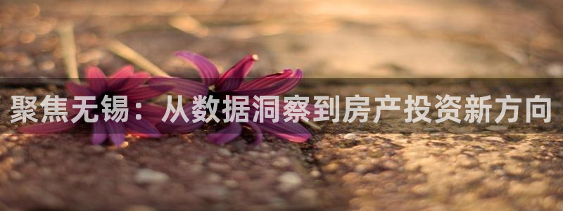 新宝5怎么下载到桌面：聚焦无锡：从数据洞察到房产投资新方向