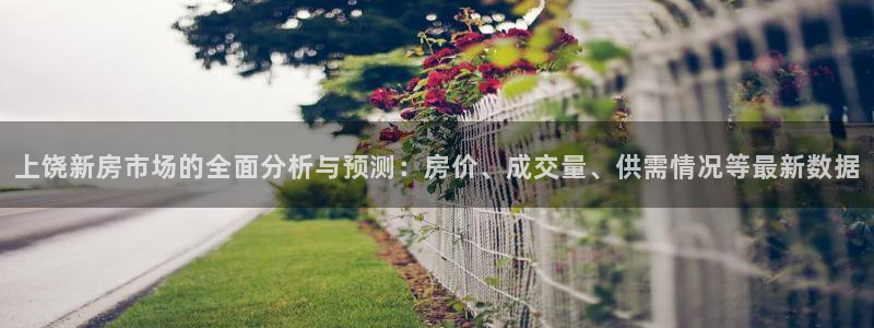新宝5登录地址：上饶新房市场的全面分析与预测：房价、成交量、