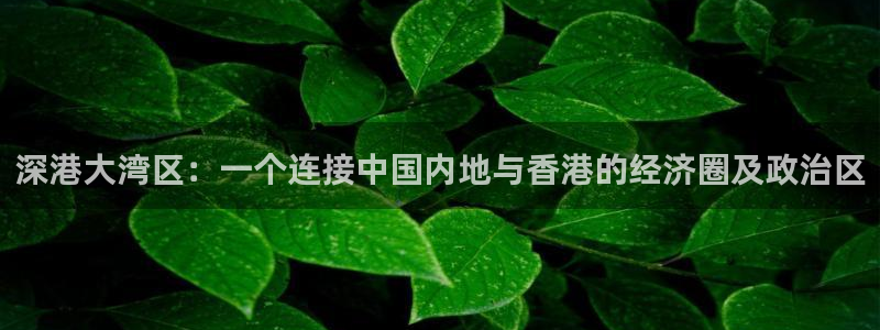 新宝5代理注册：深港大湾区：一个连接中国内地与香港的经济圈及