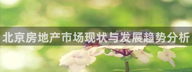 新宝5如何注册登录：北京房地产市场现状与发展趋势分析