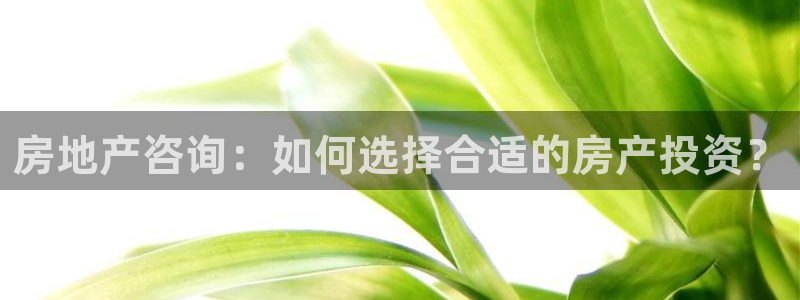新宝5app手机下载：房地产咨询：如何选择合适的房产投资？