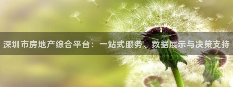 新宝5地址：深圳市房地产综合平台：一站式服务、数据展示与决策