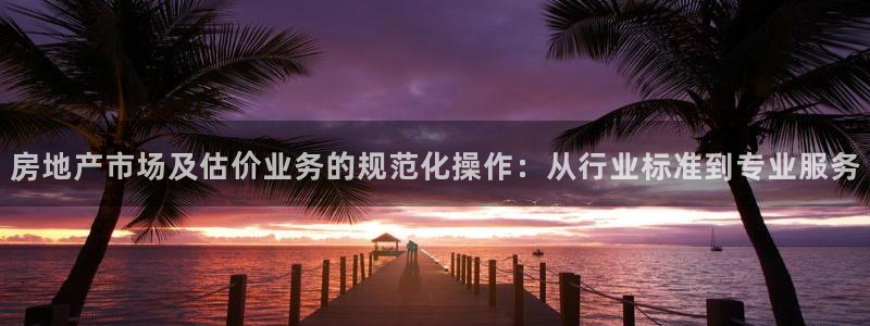 新宝5代理：房地产市场及估价业务的规范化操作：从行业标准到专