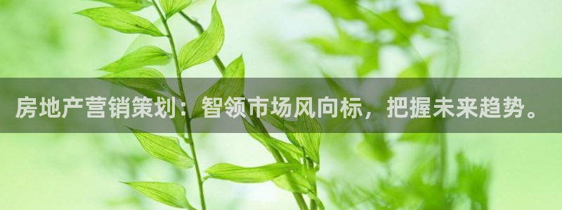 新宝5下载网址：房地产营销策划：智领市场风向标，把握未来趋势