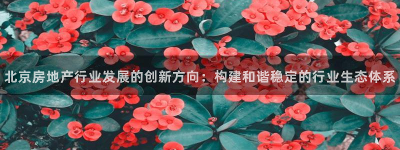 新宝5褚32OO59：北京房地产行业发展的创新方向：构建和谐