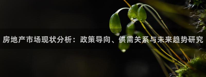 新宝5登录霸：房地产市场现状分析：政策导向、供需关系与未来趋