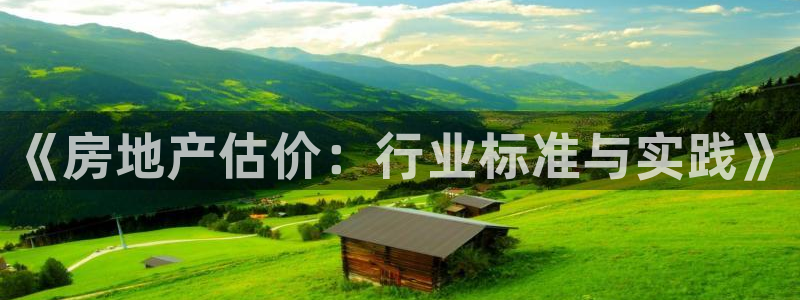 新宝5测速线路：《房地产估价：行业标准与实践》