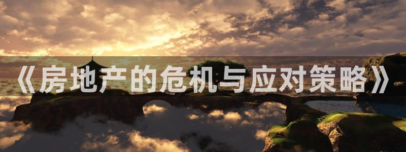 新宝5娱乐方：《房地产的危机与应对策略》