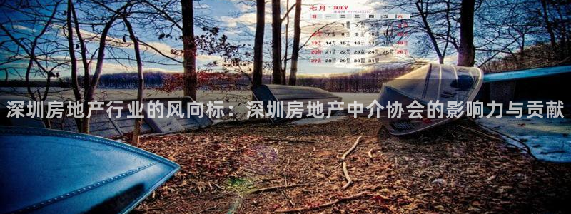 新宝5娱乐招商：深圳房地产行业的风向标：深圳房地产中介协会的
