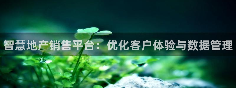 新宝奇迹GG5：智慧地产销售平台：优化客户体验与数据管理