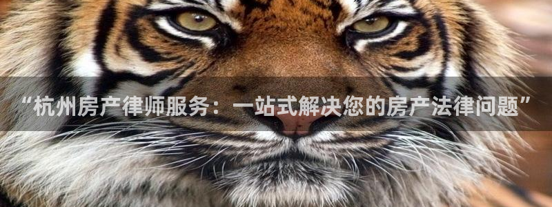 新宝5平台登录：“杭州房产律师服务：一站式解决您的房产法律问