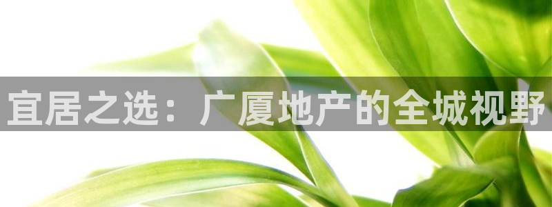 新宝5登录测速中心：宜居之选：广厦地产的全城视野