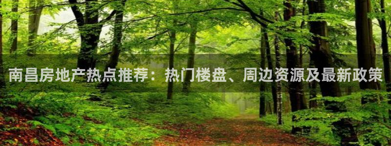 新宝5手机版登录：南昌房地产热点推荐：热门楼盘、周边资源及最