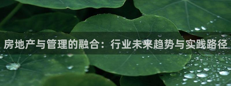 新宝5平台登陆：房地产与管理的融合：行业未来趋势与实践路径