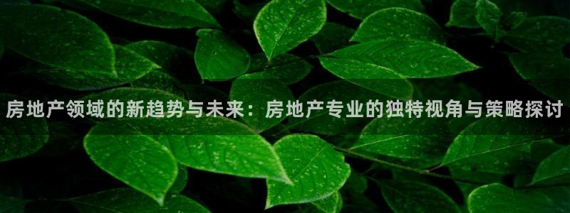 新宝5开好：房地产领域的新趋势与未来：房地产专业的独特视角与