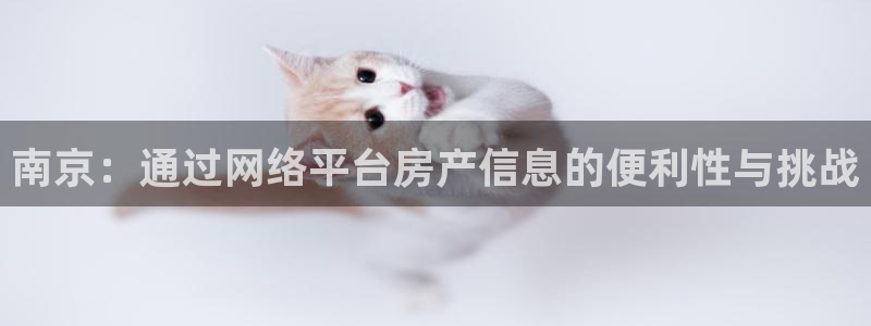 新宝5下载 迅雷下载：南京：通过网络平台房产信息的便利性与挑