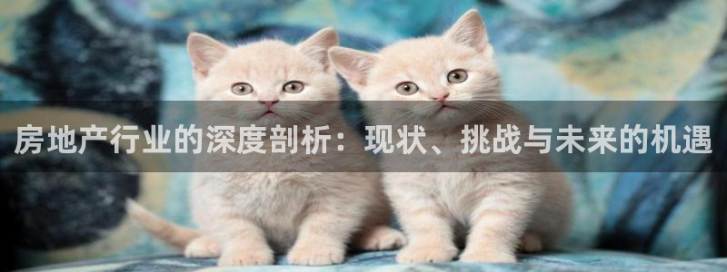 新宝5巅峰：房地产行业的深度剖析：现状、挑战与未来的机遇