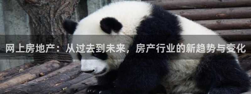 新宝5下载网址：网上房地产：从过去到未来，房产行业的新趋势与
