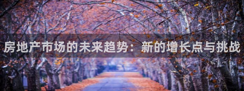 新宝5 888：房地产市场的未来趋势：新的增长点与挑战