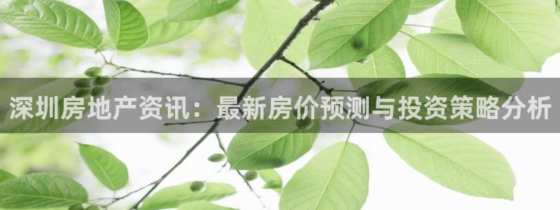 新宝5网站：深圳房地产资讯：最新房价预测与投资策略分析