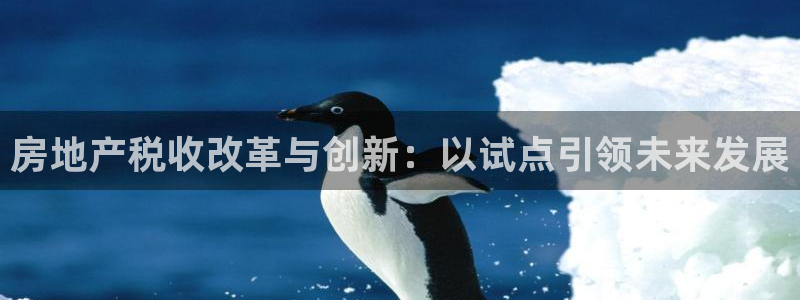 新宝5官网app：房地产税收改革与创新：以试点引领未来发展