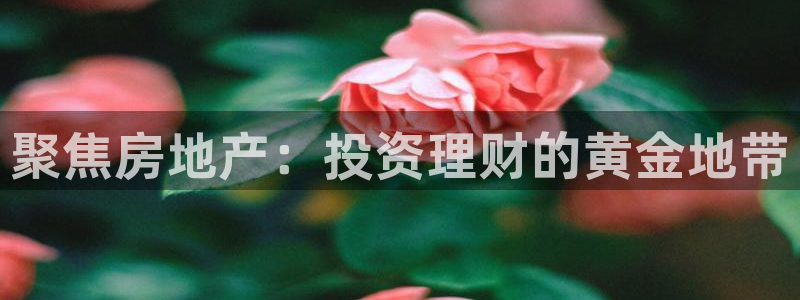 新宝5注册登录：聚焦房地产：投资理财的黄金地带