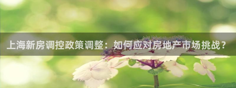 新宝5下载到桌面：上海新房调控政策调整：如何应对房地产市场挑