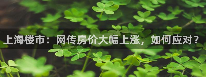 新宝_5：上海楼市：网传房价大幅上涨，如何应对？