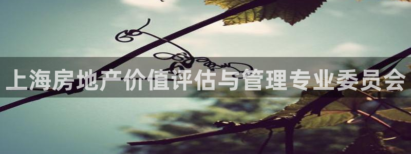 新宝骏rc5W：上海房地产价值评估与管理专业委员会