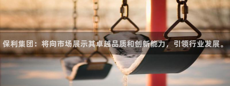 新宝5娱乐多：保利集团：将向市场展示其卓越品质和创新能力，引