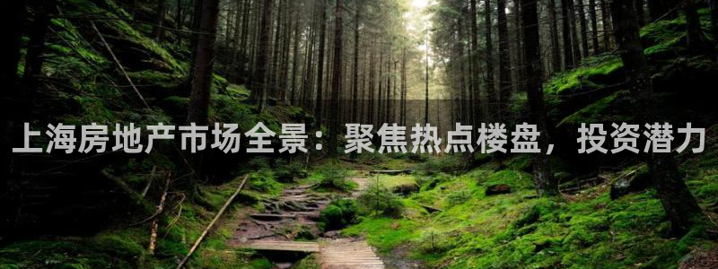新宝5得74OOO5：上海房地产市场全景：聚焦热点楼盘，投资
