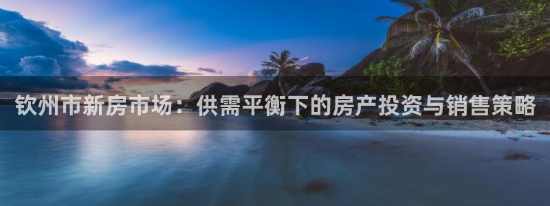 新宝5入口：钦州市新房市场：供需平衡下的房产投资与销售策略