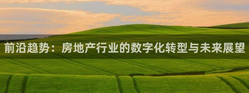 新宝5平台霸：前沿趋势：房地产行业的数字化转型与未来展望