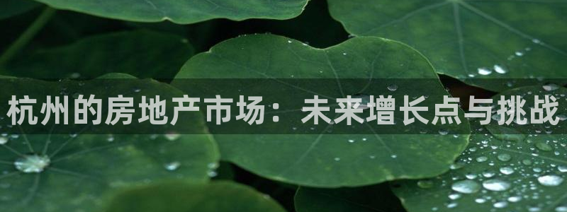 新宝5台卡：杭州的房地产市场：未来增长点与挑战