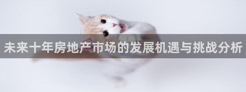 新宝5后：未来十年房地产市场的发展机遇与挑战分析