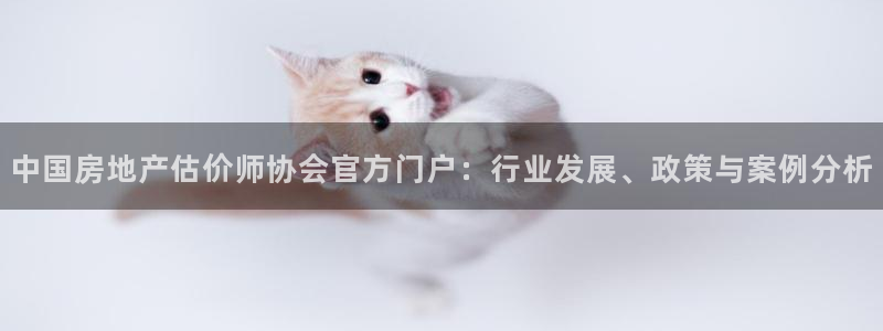 新宝 5测速：中国房地产估价师协会官方门户：行业发展、政策与