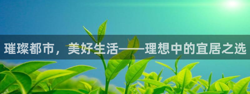 新宝5官方登录入口：璀璨都市，美好生活——理想中的宜居之选