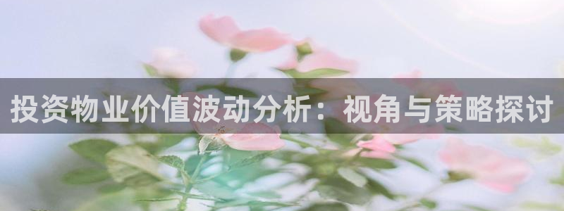 新宝cR一5：投资物业价值波动分析：视角与策略探讨