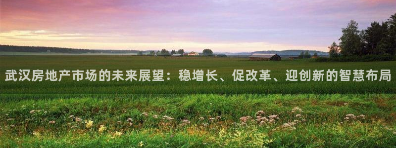 2022新宝骏rs 5：武汉房地产市场的未来展望：稳增长、促
