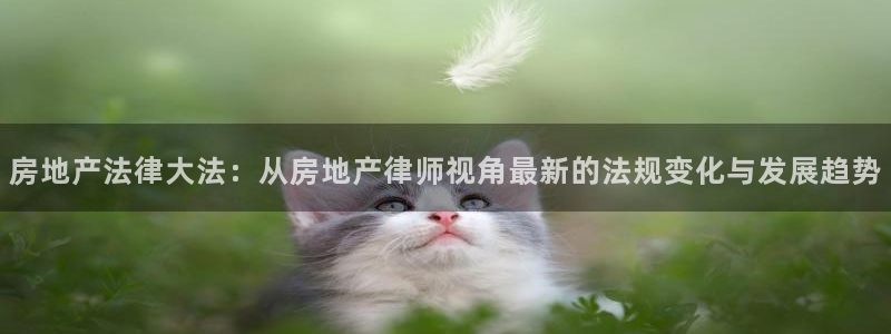 新宝b2O5O5O：房地产法律大法：从房地产律师视角最新的法