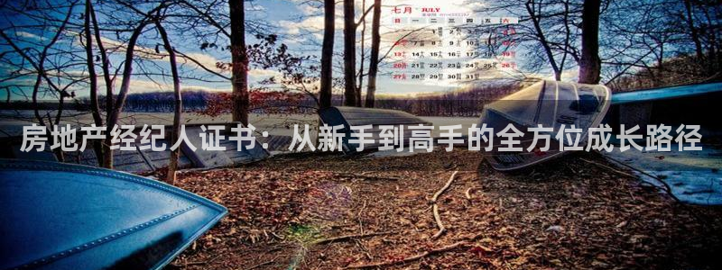新宝5代理：房地产经纪人证书：从新手到高手的全方位成长路径