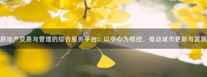 新宝5彩票是正规平台吗：房地产交易与管理的综合服务平台：以中