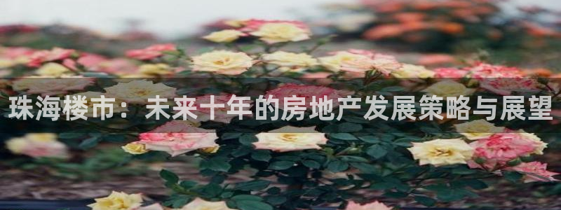 新宝5官方登录入口：珠海楼市：未来十年的房地产发展策略与展望