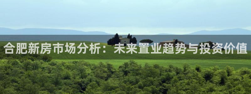 新宝5手机版登录：合肥新房市场分析：未来置业趋势与投资价值