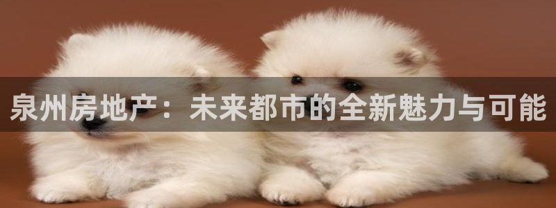 新宝5秒开：泉州房地产：未来都市的全新魅力与可能