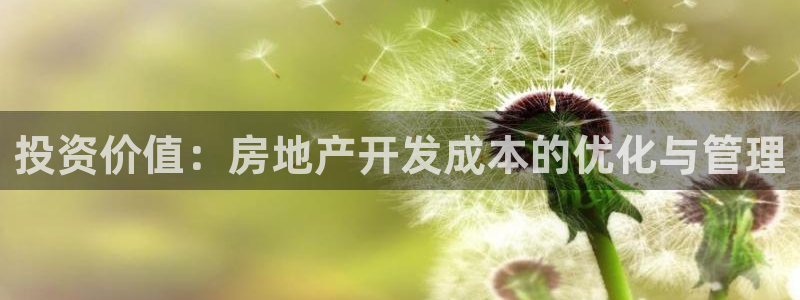 有人知道新宝5么：投资价值：房地产开发成本的优化与管理