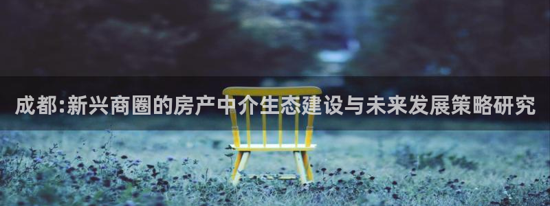 新宝5日740005蔻：成都:新兴商圈的房产中介生态建设与未